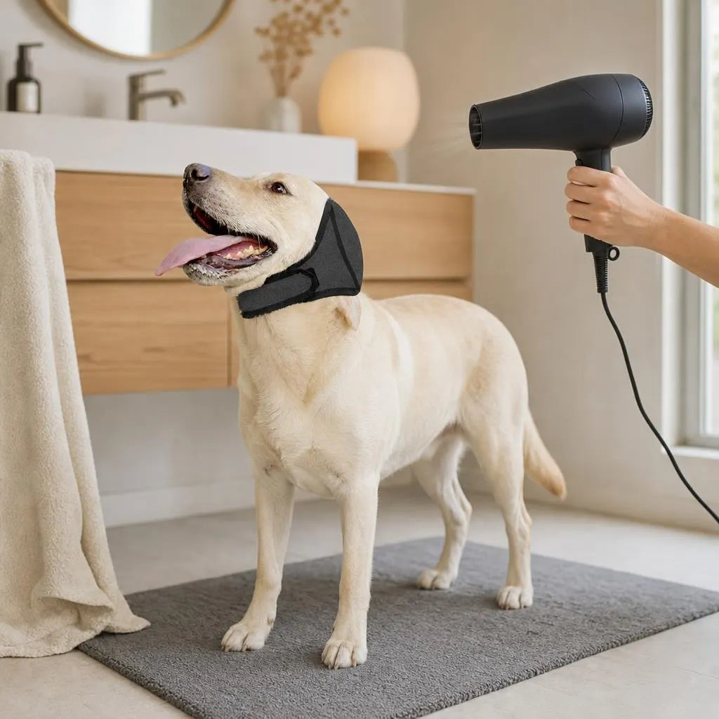 A dog wearing the Calm Hood in a bathroom while a hair dryer is in use